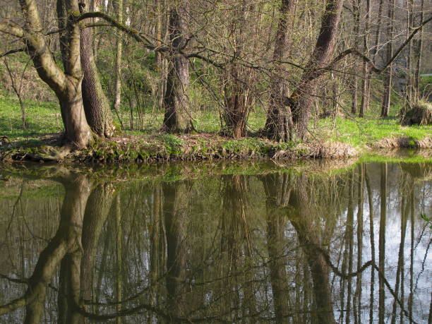 Spring in Pottendorf,Lower Austria,Austria,Europe