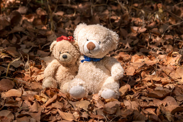istock Two teddy bears sitting on autumn leaves 1344622280