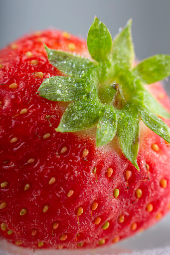 Single fresh strawberry with water drops - close up view