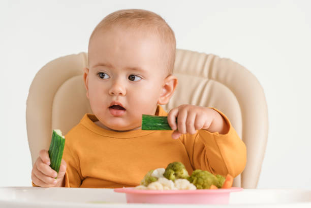 istock A baby on a feeding chair with two hands eats a fresh green cucumber. On a white background. 1344623877