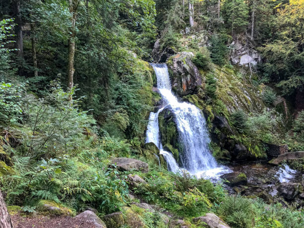 istock A waterfall in the Black Forest in Germany. 1344624975