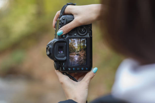 fotografin macht landschaftsfoto im herbstwald, selektiver fokus - digitalkamera stock-fotos und bilder