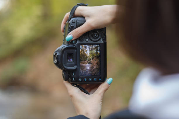 mujer fotógrafa haciendo foto de paisaje en el bosque de otoño, enfoque selectivo - cámara digital fotografías e imágenes de stock