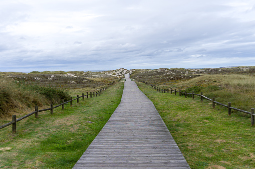 Scenic view of a wooden walkway between grass on Barrañan beach, Arteixo, A Coruña, Galicia