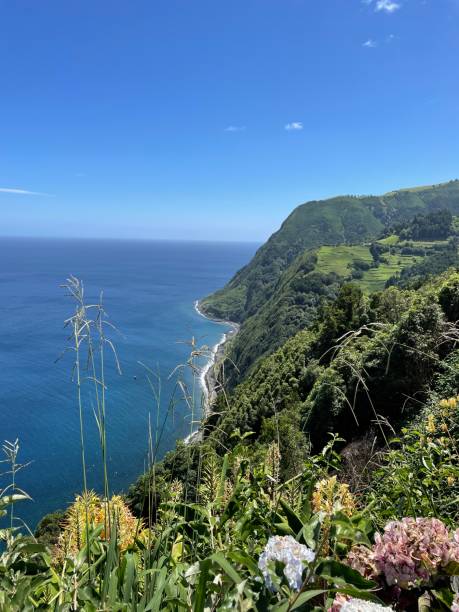 istock Ponta Delgada, Azores 1344629151
