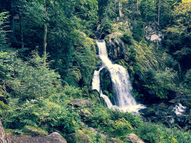 istock A waterfall in the Black Forest in Germany. 1344629418
