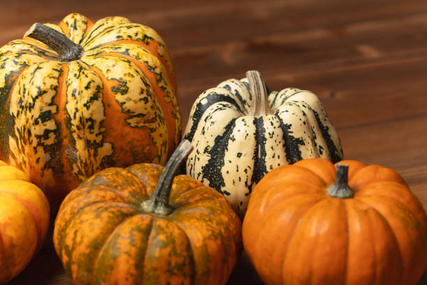 istock Miniature pumpkins background for Thanksgiving or Autumn. 1344630052