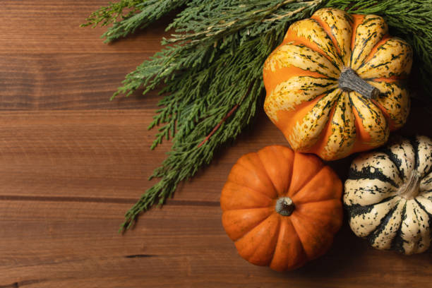 istock Miniature pumpkins background for Thanksgiving or Autumn. 1344630053