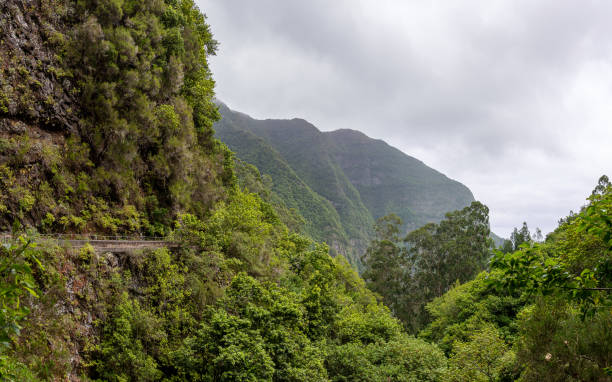 istock Mountain hiking trail in Madeira mountains. 1344632553
