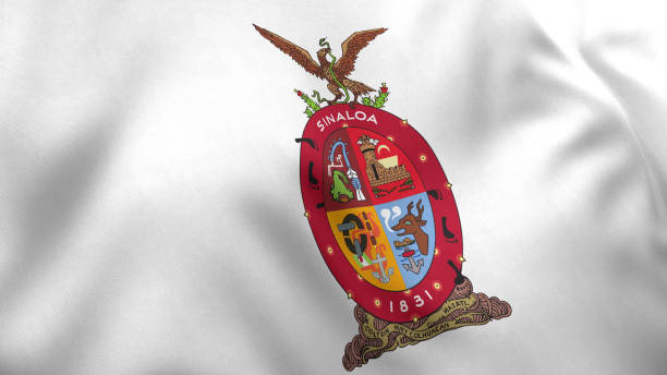 Top View of Flag of Mexico banner