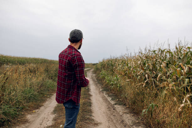 istock A young farmer looks at a corn field 1344636210