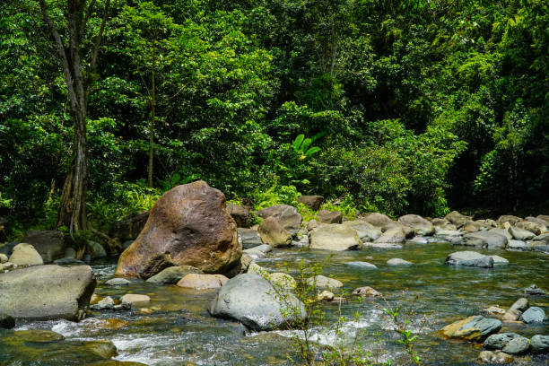 The Anvil Rio Grande, Puerto Rico el yunque rainforest stock pictures, royalty-free photos & images