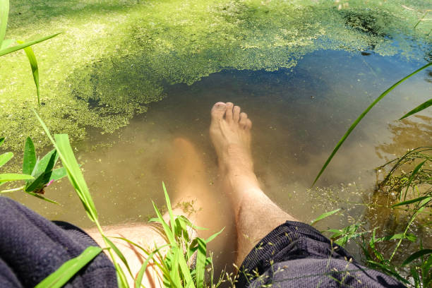 istock A man lowered his feet into a forest lake with green duckweed 1344638989