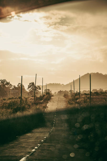 istock A road in the middle of a forest that resembles a desert 1344639005