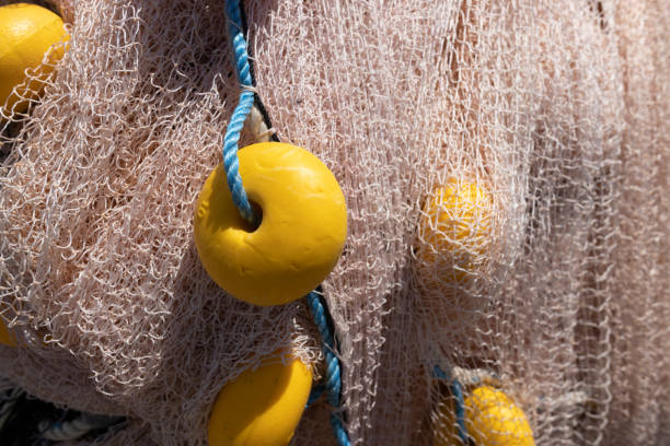 Fishing nets close-up. food industry