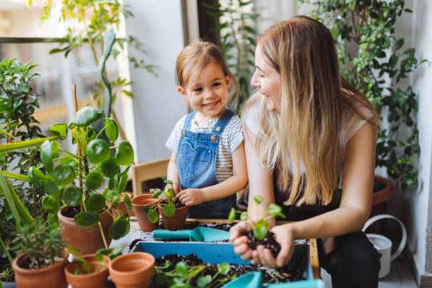 ragazza carina che pianta fiori con la madre sul balcone di casa - planting tree human hand women foto e immagini stock