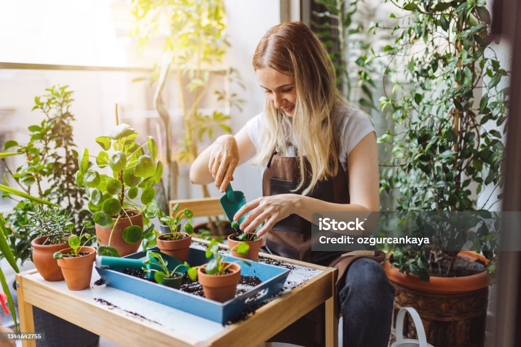 Lovely housewife with flower in pot and gardening set Pretty woman grows tropical plants in her garden. Gardener in working outfit looking after different exotic flower and herb. Close up of woman's hand spraying water on houseplants. Gardening Stock Photo