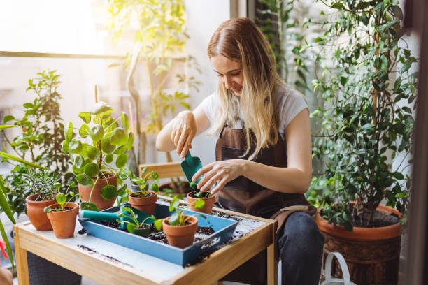 Lovely housewife with flower in pot and gardening set Pretty woman grows tropical plants in her garden. Gardener in working outfit looking after different exotic flower and herb. Close up of woman's hand spraying water on houseplants. balcony stock pictures, royalty-free photos & images