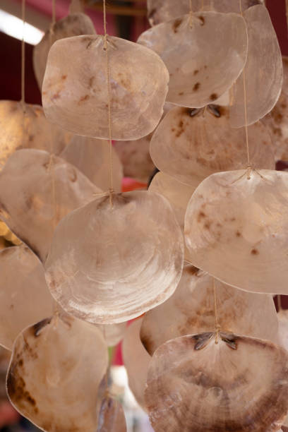 istock Ornament made of seashells. Decoration and design 1344644044