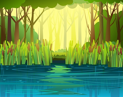 Summer forest landscape. Swampy coast with cattails and reed. Flat style. Quiet river or lake. Wild overgrown pond on background of trees and bushes. Illustration vector.