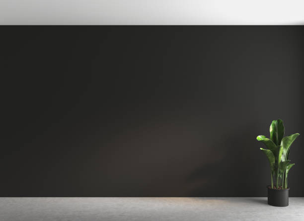 istock Empty room with black walls, concrete floor and soft skylight from window. 1344651580