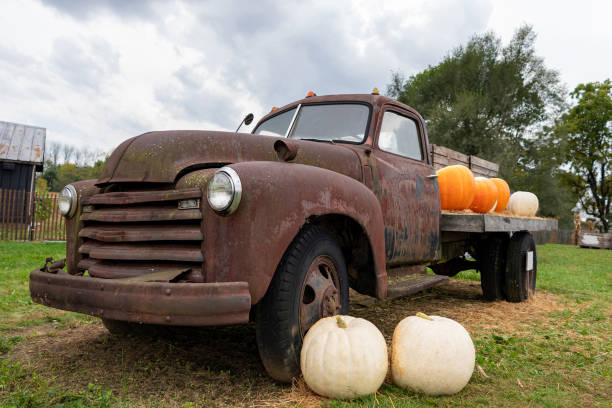 istock Old rusted truck with flat tires parked on a farm. 1344653281