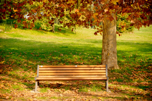 Relax under the tree