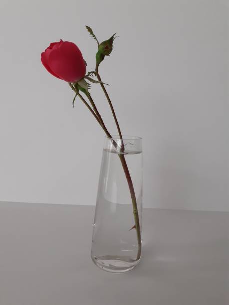 istock Roses vase, petals and leaves 1344658090