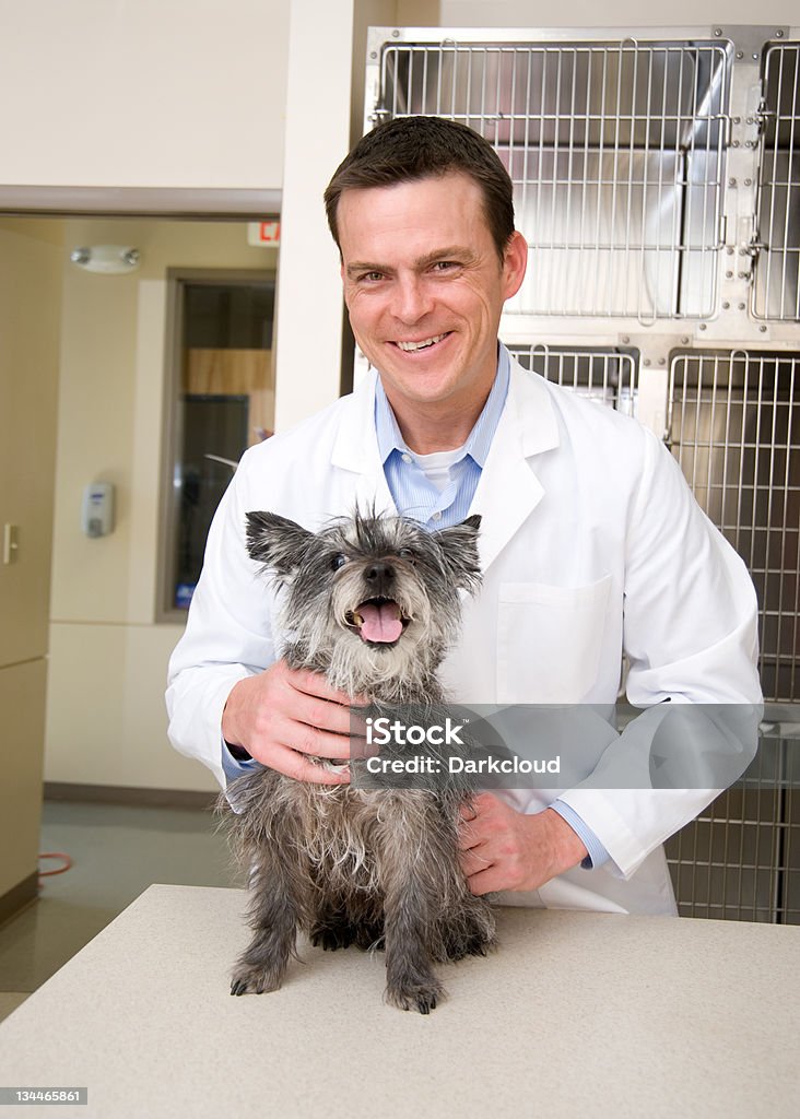 Visita al veterinario - Foto de stock de Adulto libre de derechos