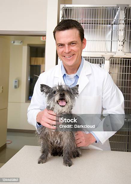 Visita Al Veterinario Foto de stock y más banco de imágenes de Adulto - Adulto, Adulto de mediana edad, Asistencia sanitaria y medicina