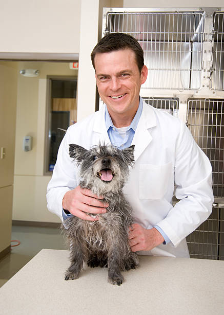 istock Visit to the Vet 134465861