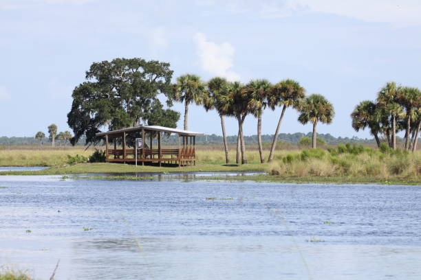 istock october 3, 2021 tosohatchee wildlife management area 1344658984
