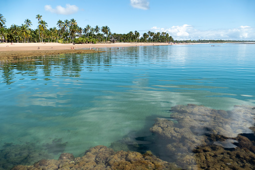 Idyllic beach with crystal clear water in Taipus de Fora, Marau, State of Bahia, Brazil