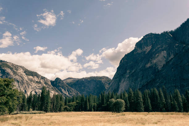 istock Meadows view in Yosemite National Park 1344660001