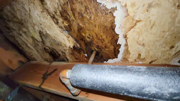 Photo of Pipe Leaking