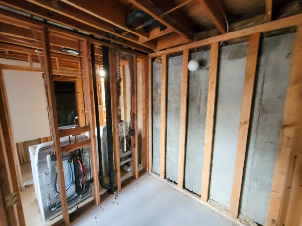 istock Home framing after water damage 1344661658