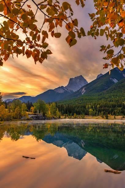 istock Autumn Sunrise At Quarry Lake Park In Canmore 1344667357