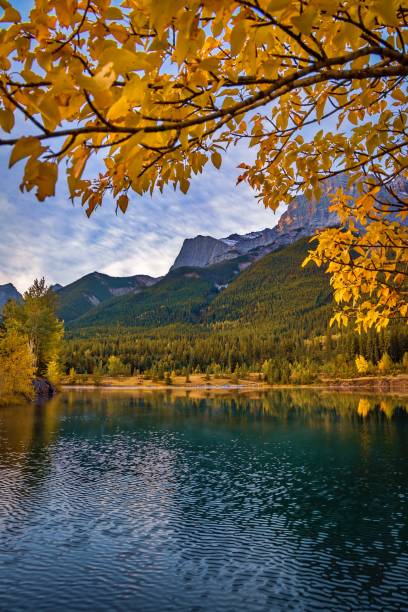 istock Autumn Foliage In A Mountain Park In Canmore 1344667425