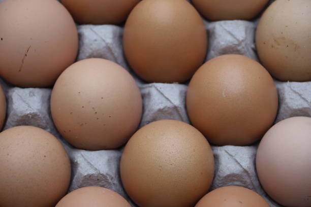 istock arrangement of chicken eggs on a paper tray 1344667489