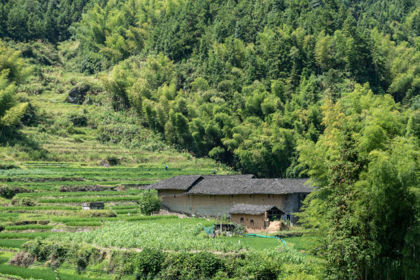 istock Fields and houses in the countryside under the blue sky 1344667686