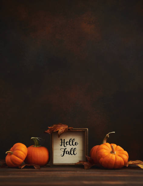 istock Dark Thanksgiving Fall Background with Pumpkins and Leaves and Hello Fall SIgn 1344677921