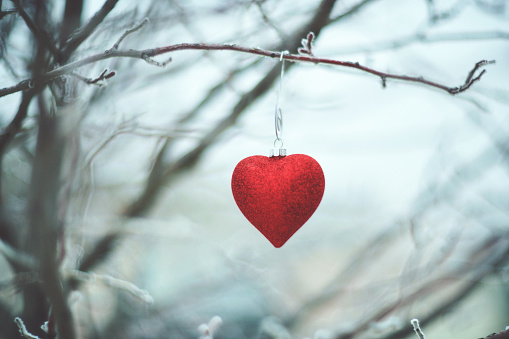 Ethereal Background of Glitter Heart Christmas Decorations Hanging on Snow Covered Branches