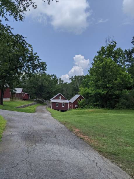 Country Road Trip