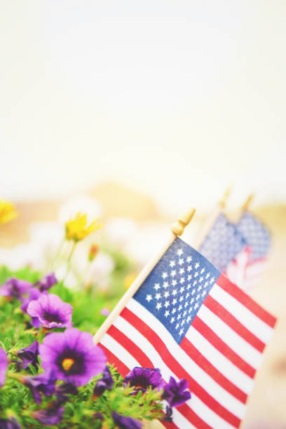istock American Flags in Bright Warm Sunshine with Flowers 1344682664