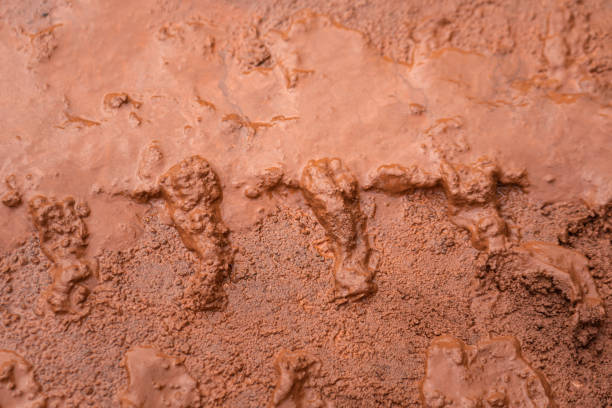 istock Dirt terrain road with wheel track. 1344683743