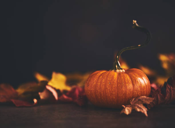 istock Miniature Pumpkin with Curled Stem Amongst Fall Leaves 1344686493