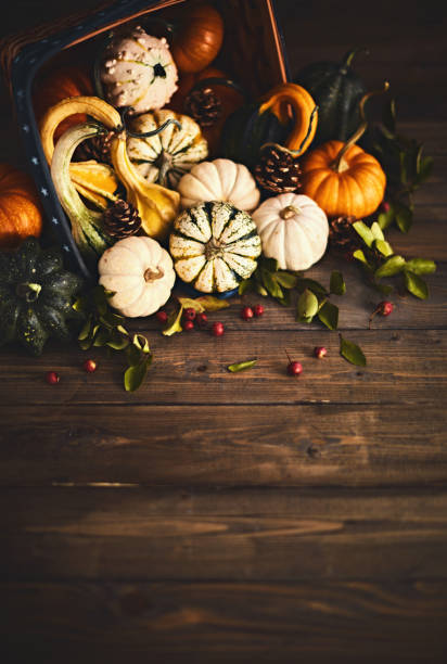 istock Thanksgiving Fall Background with Collection of Pumpkins on Rustic Wood Table 1344686511