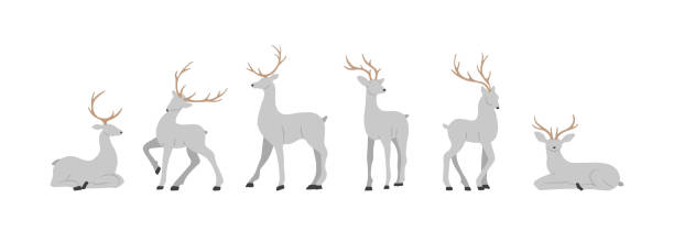 silhouetten von grauen rentieren. süße hirsche mit geweih stehend und springend. vektorillustration im flachen cartoon-stil - stag deer doe cartoon stock-grafiken, -clipart, -cartoons und -symbole