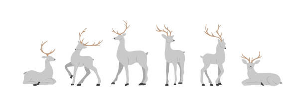 회색 순록의 실루엣. 뿔이 서 점프 귀여운 사슴. 플랫 만화 스타일의 벡터 일러스트레이션 - stag deer doe cartoon stock illustrations