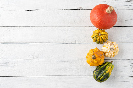 Composition of autumn pumpkins on white wooden table with copyspace. Thanksgiving or Halloween concept